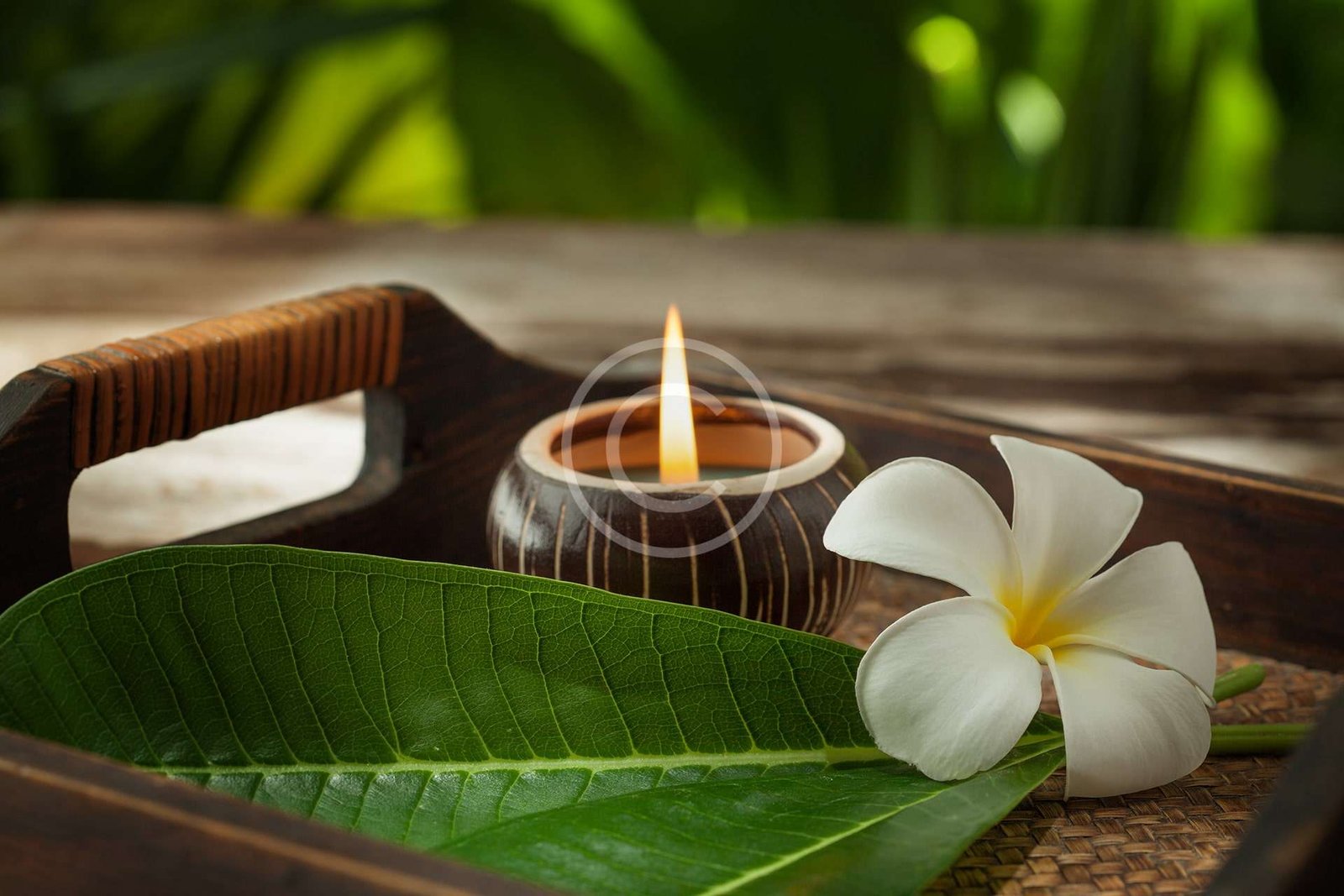New Organic Products 1 post22 copyright